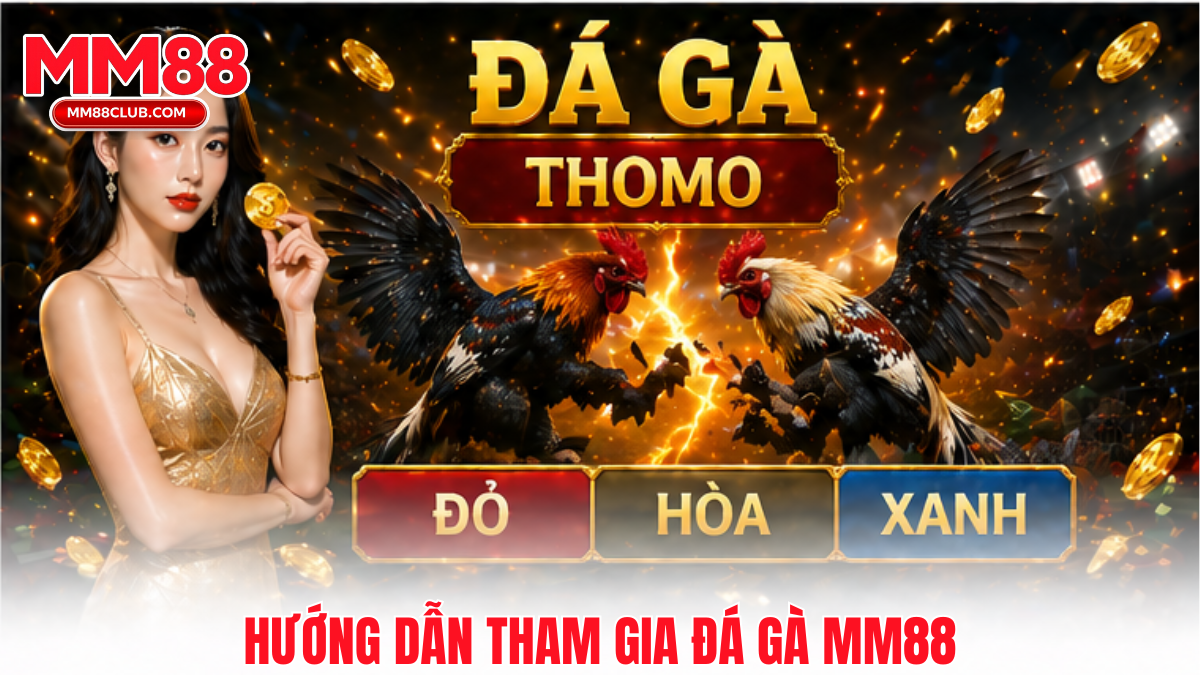 Hướng dẫn tham gia Đá gà MM88 dễ hiểu cho người mới bắt đầu