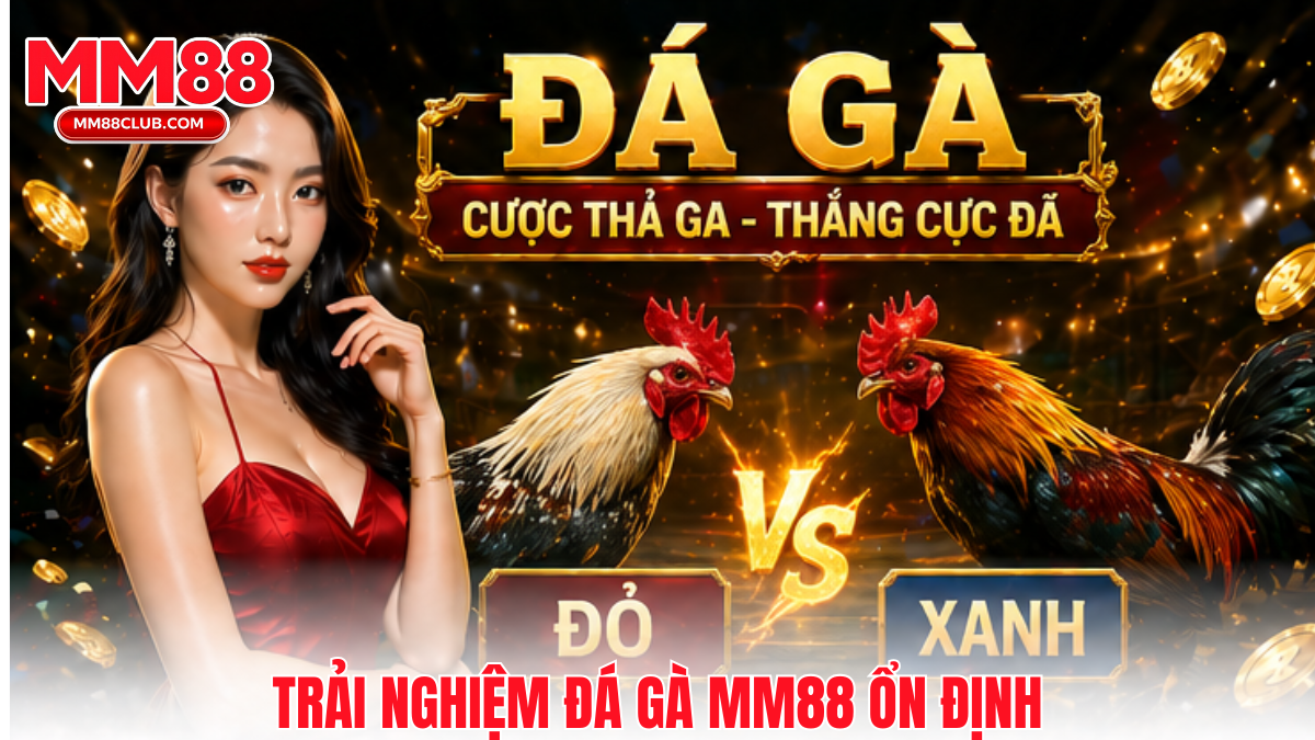 Trải nghiệm Đá gà MM88 ổn định với giao diện dễ dùng và hình ảnh sắc nét